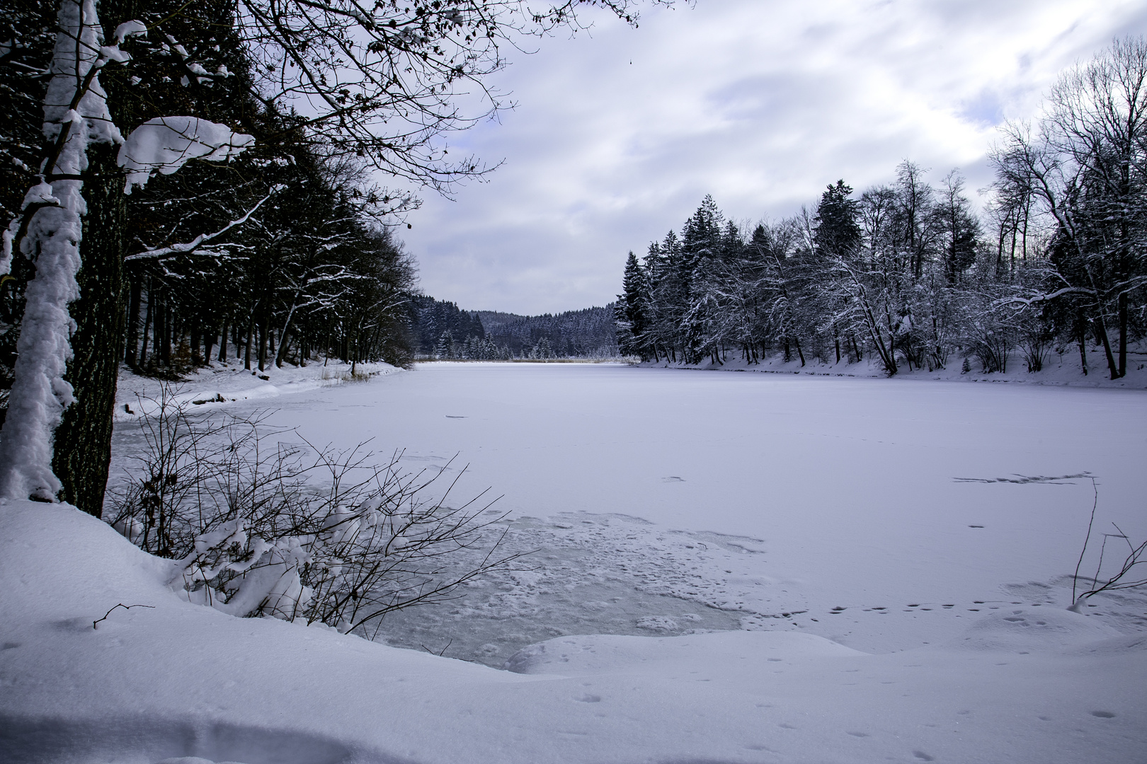 Wintermorgen