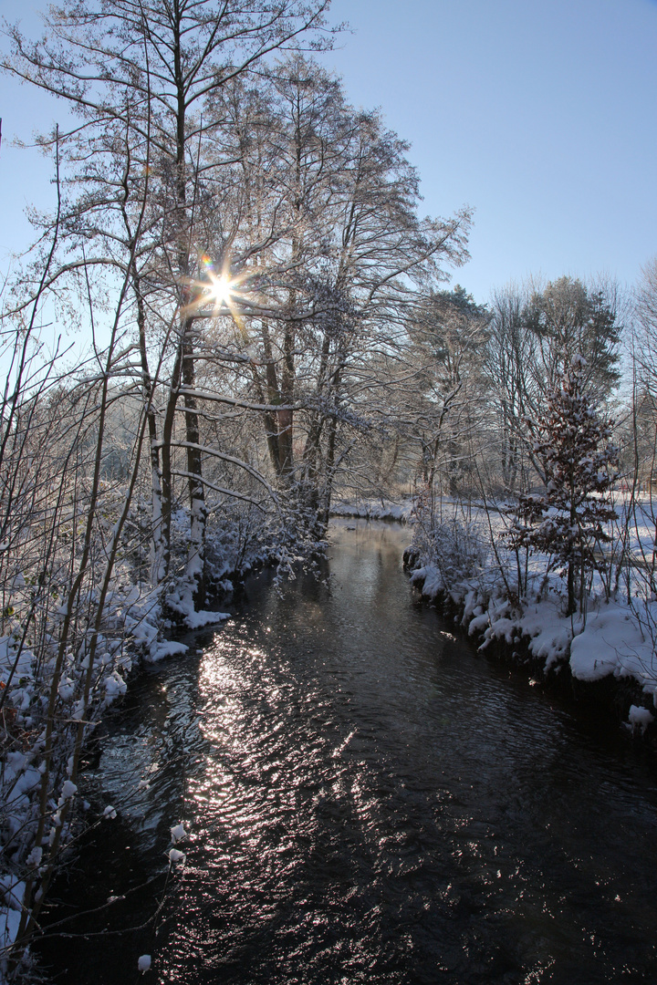 Wintermorgen