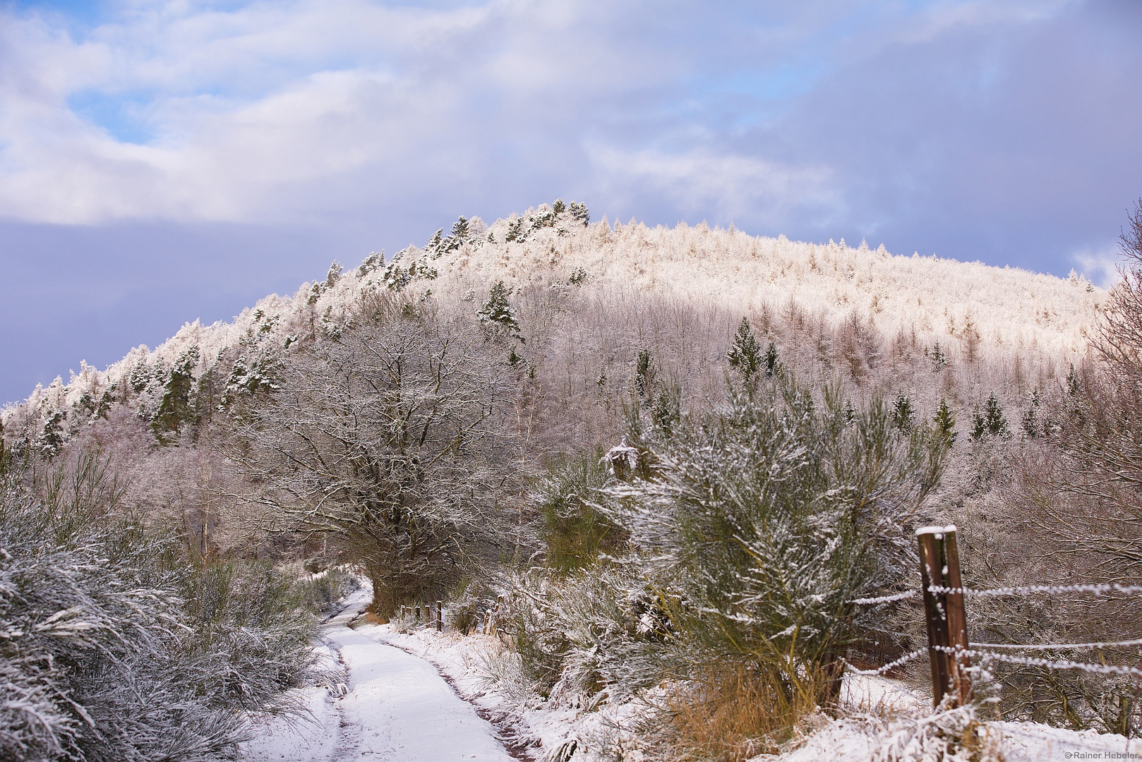 Wintermorgen