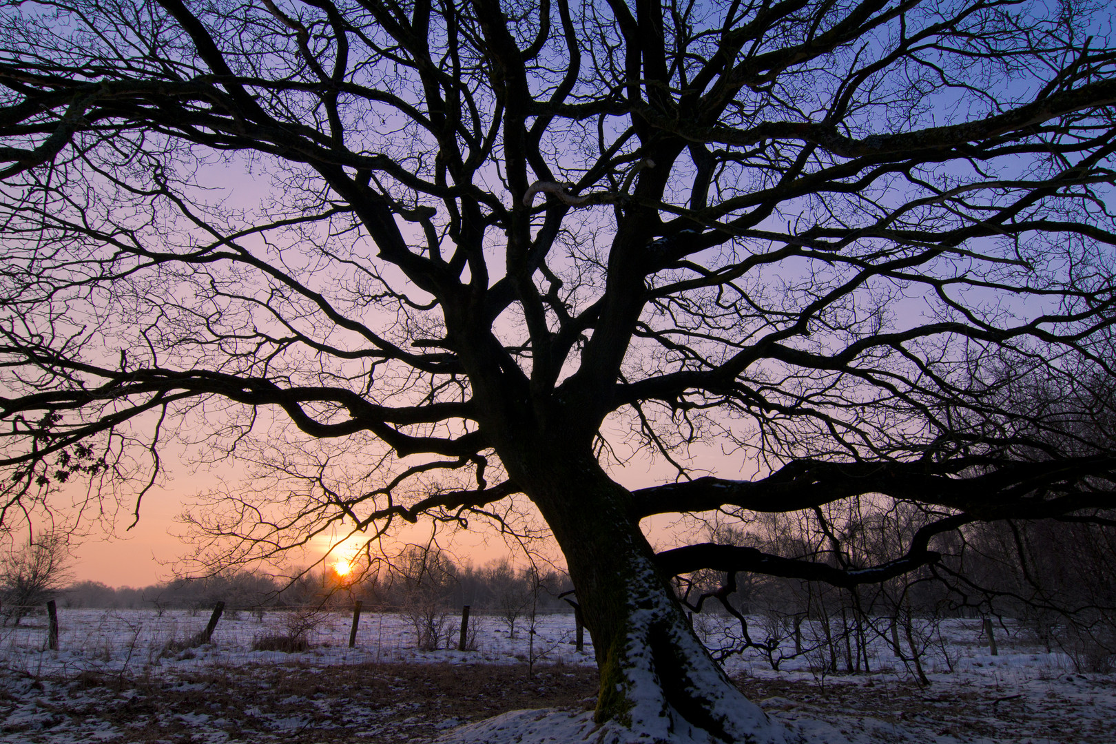 Wintermorgen