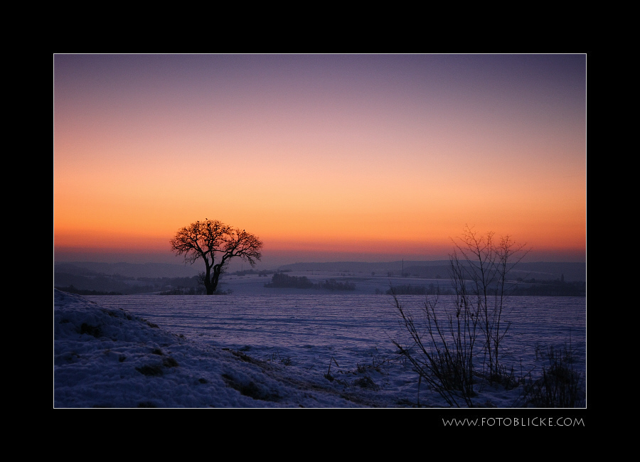 Wintermorgen