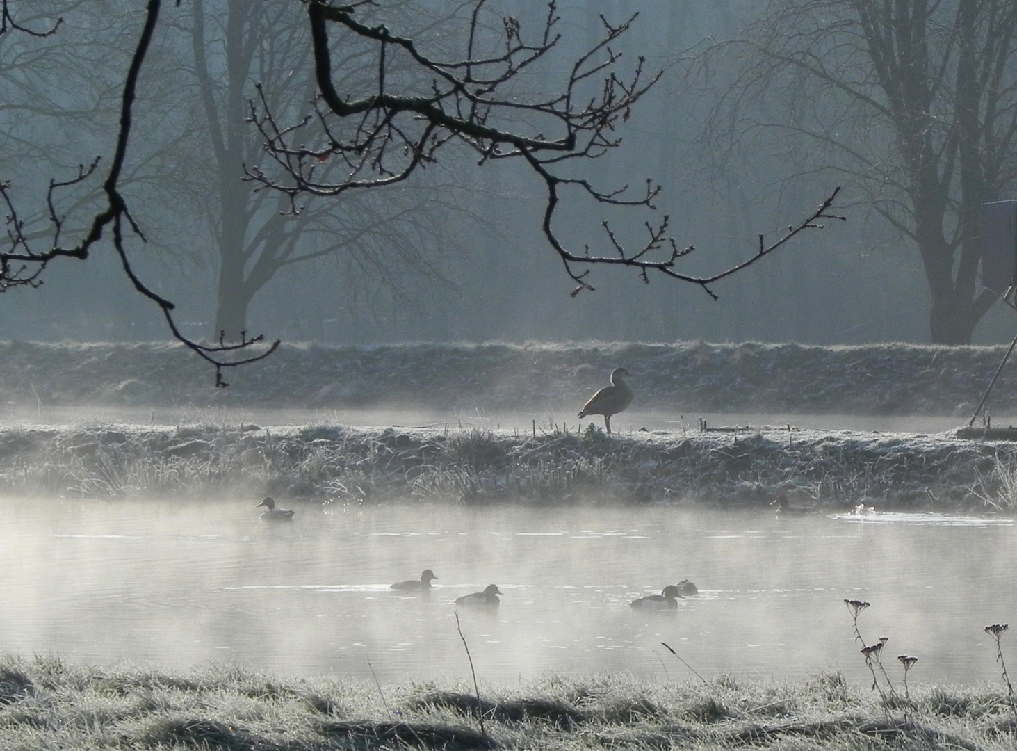 Wintermorgen