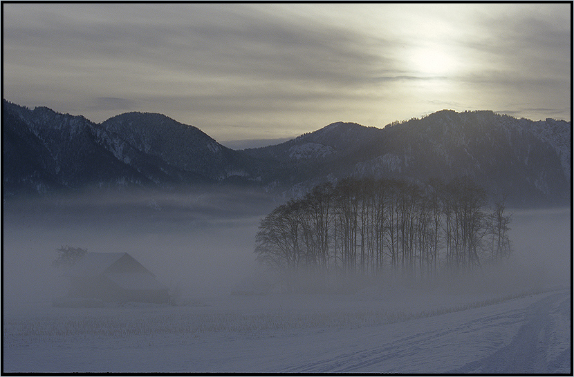 Wintermorgen