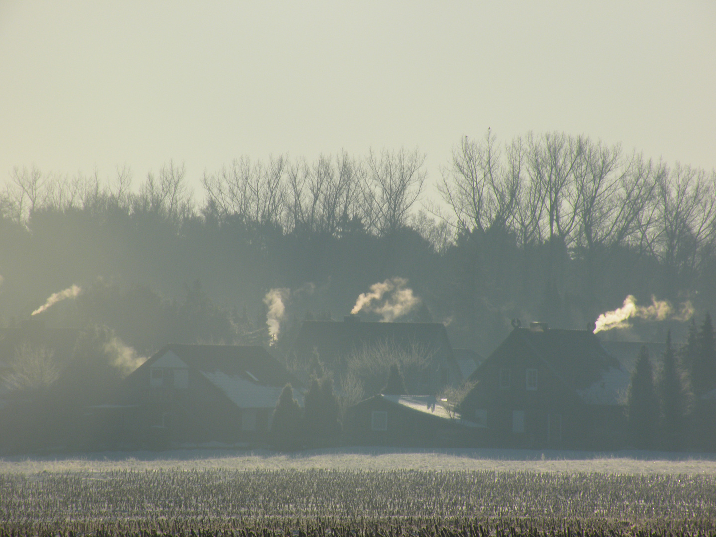 Wintermorgen