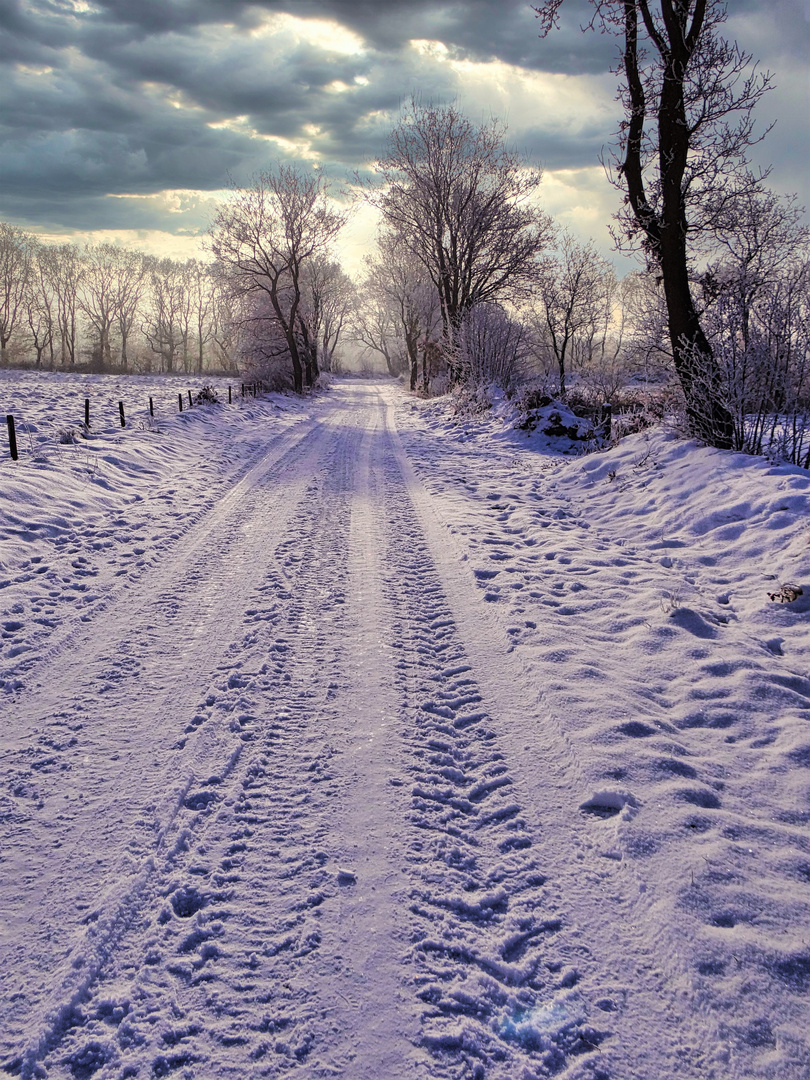 Wintermorgen