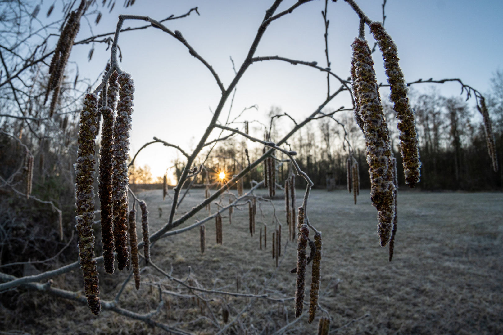 Wintermorgen