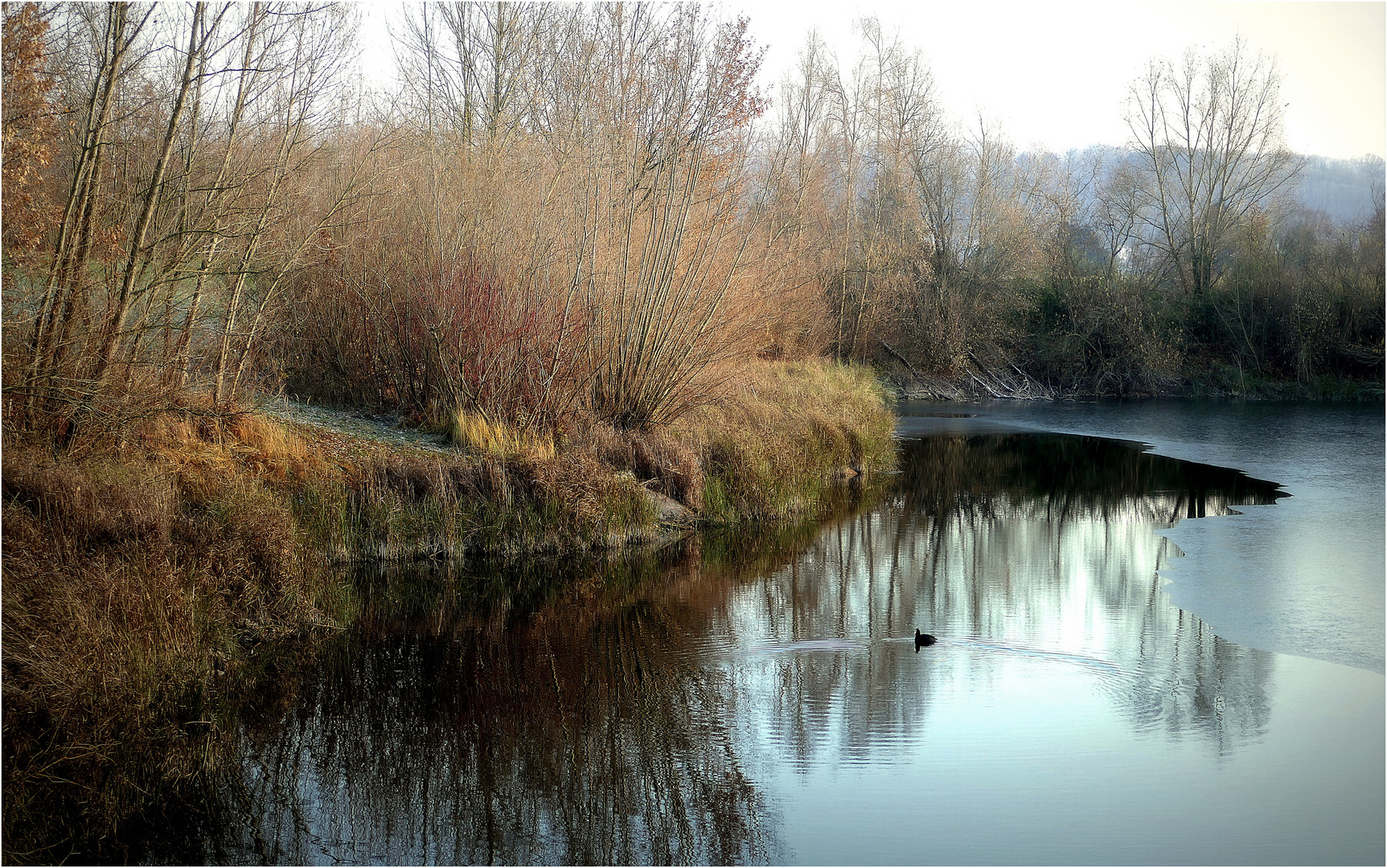 Wintermorgen