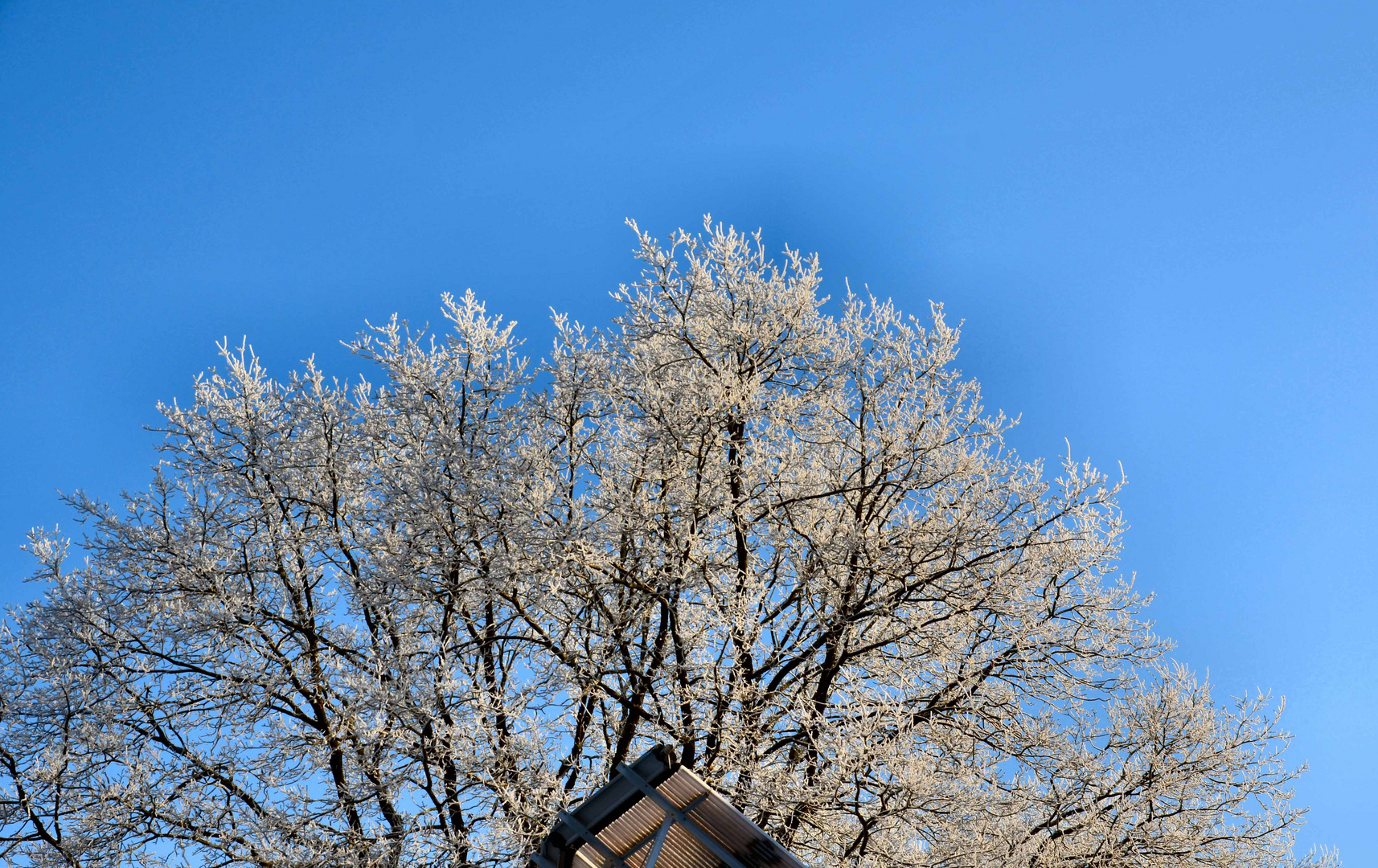 Wintermorgen