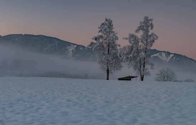 Wintermorgen