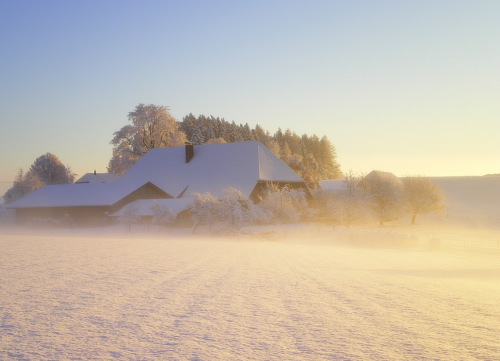 Wintermorgen