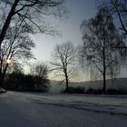 Wintermorgen