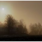 Wintermorgen