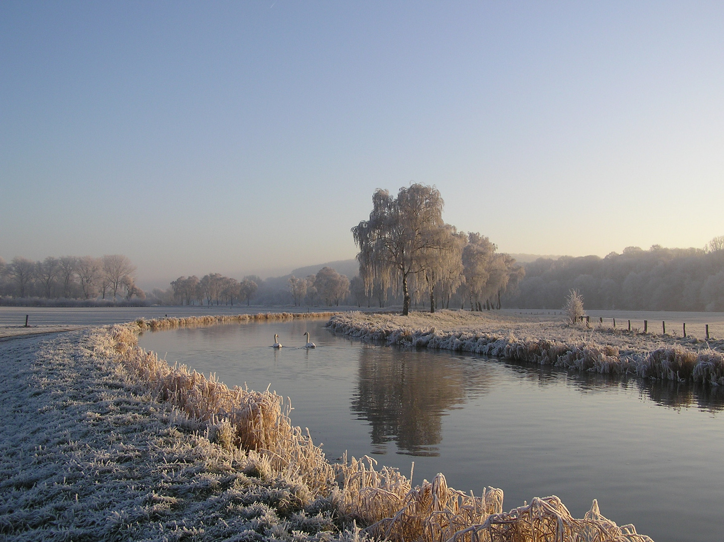 Wintermorgen 