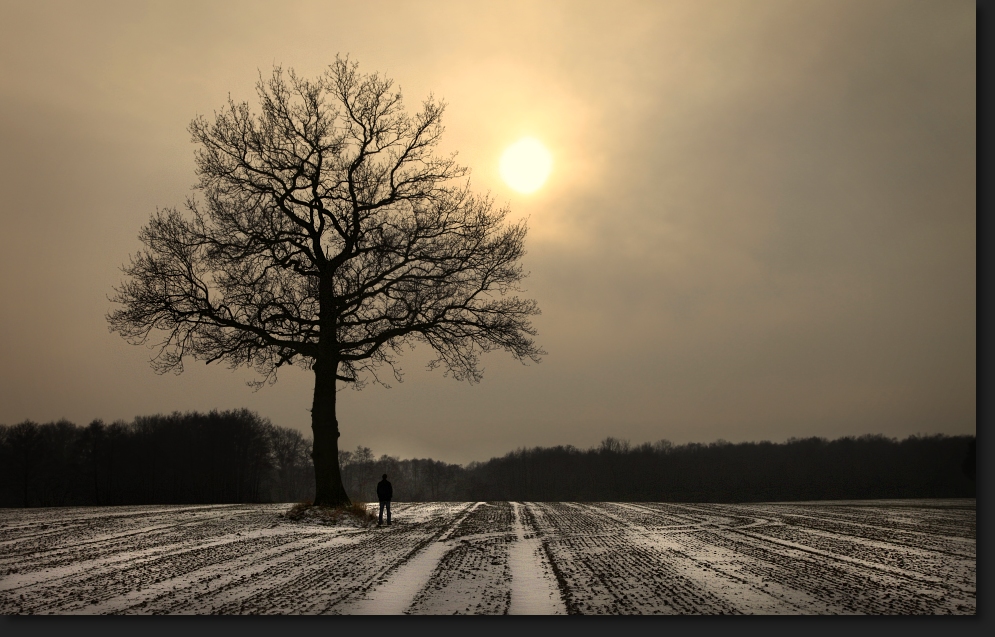 Wintermorgen