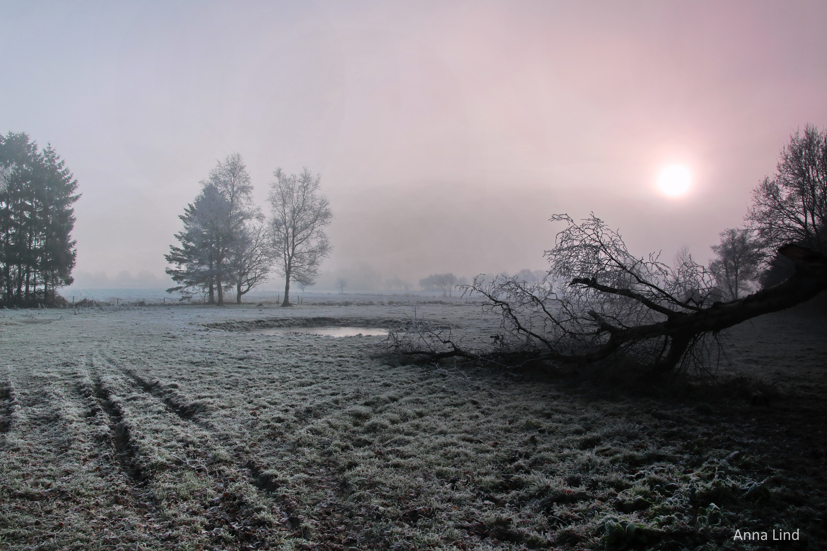 Wintermorgen