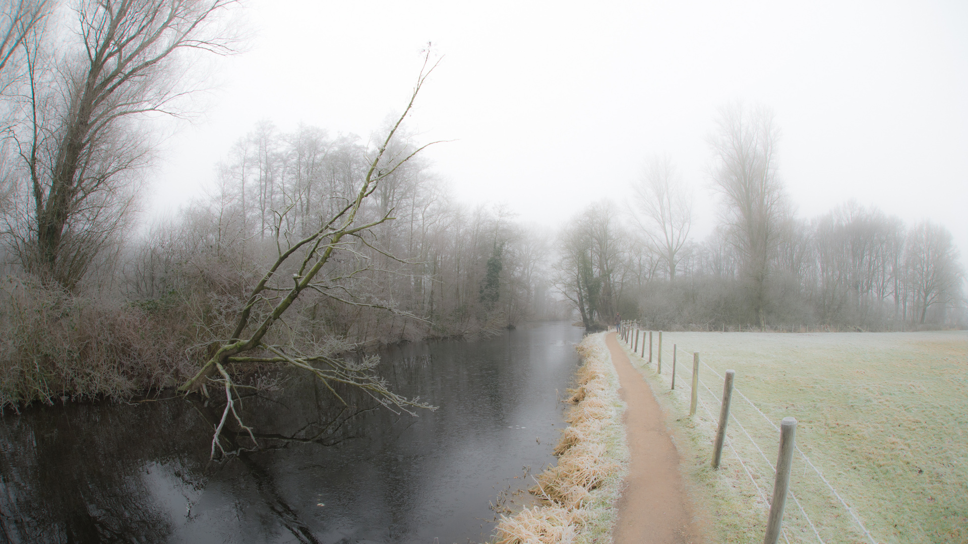 Wintermorgen