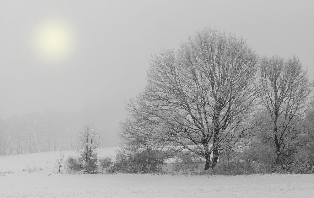 Wintermorgen