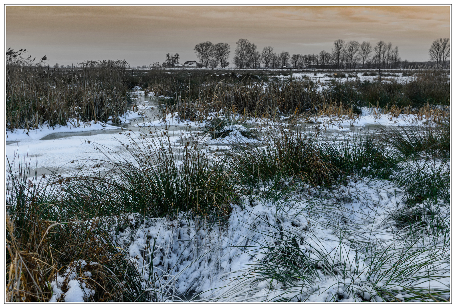 Wintermorgen