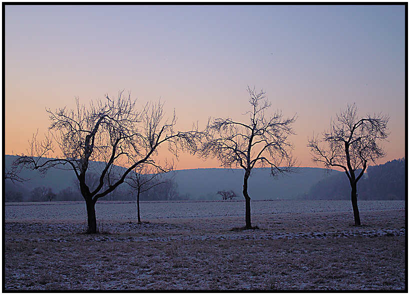 Wintermorgen