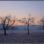 Wintermorgen