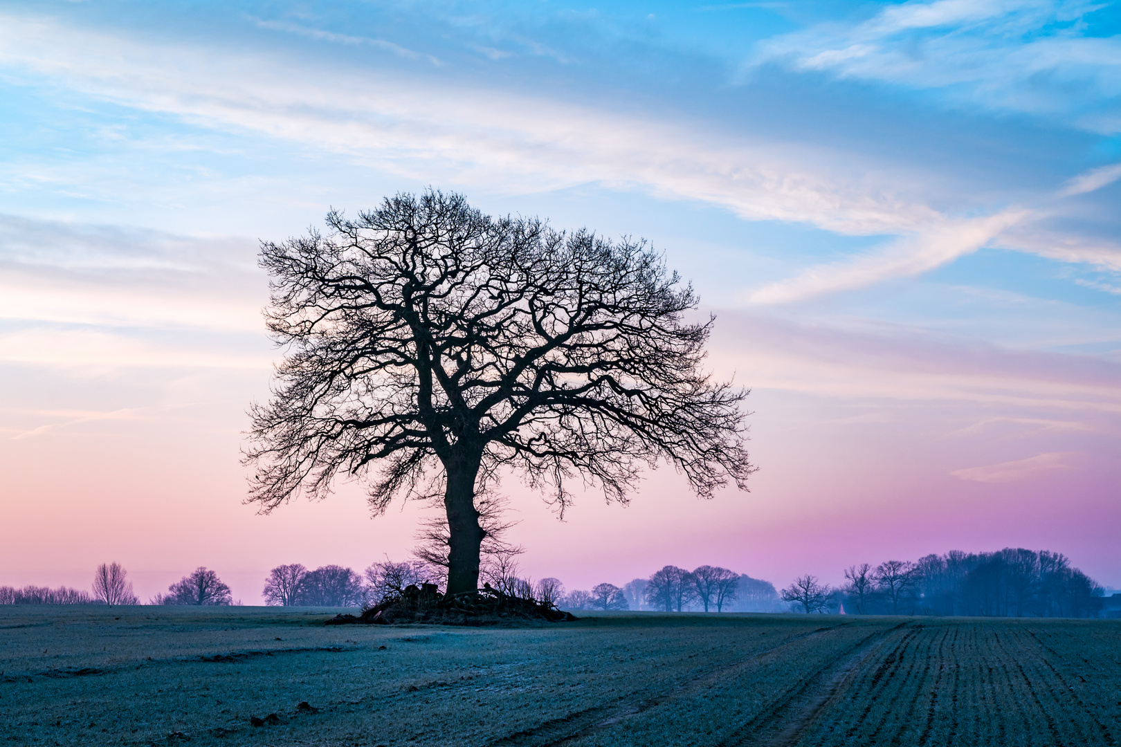 Wintermorgen