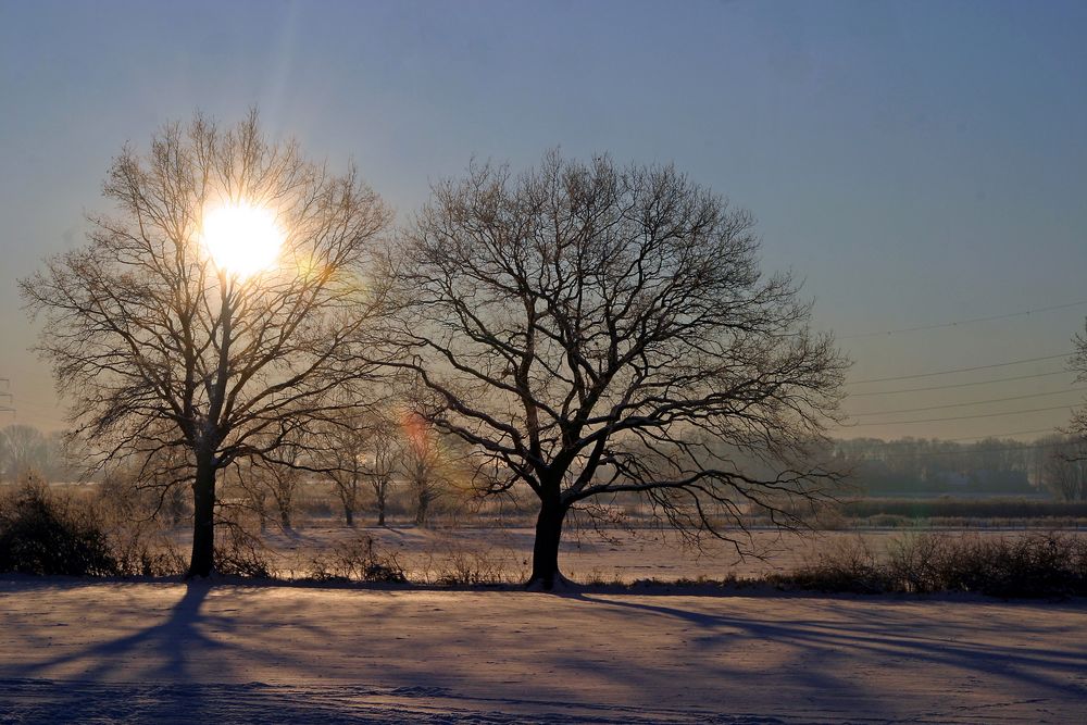 Wintermorgen