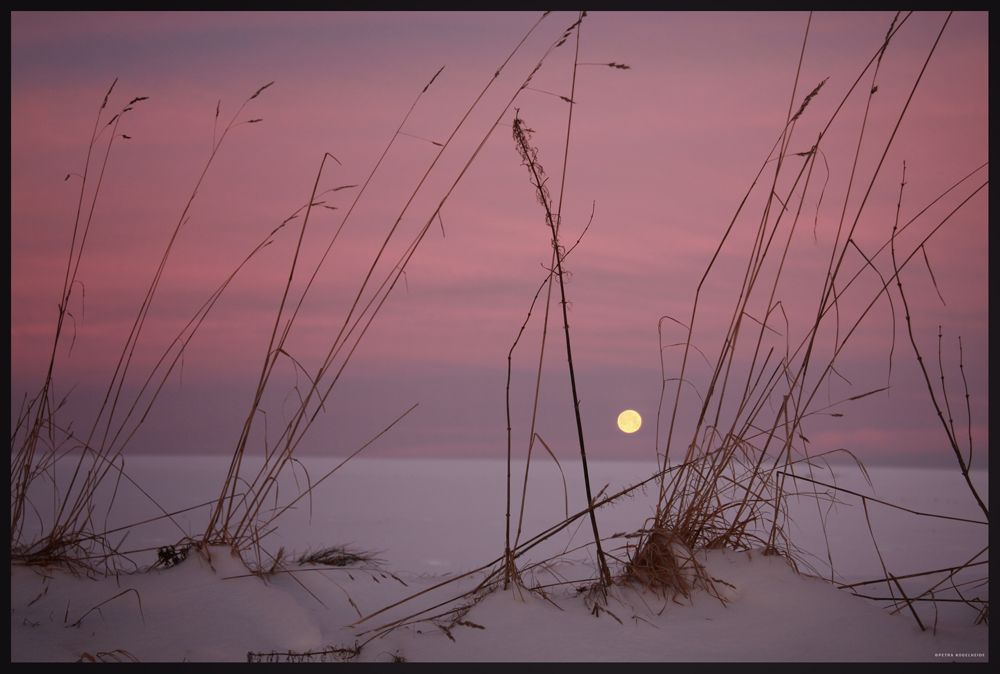 Wintermorgen