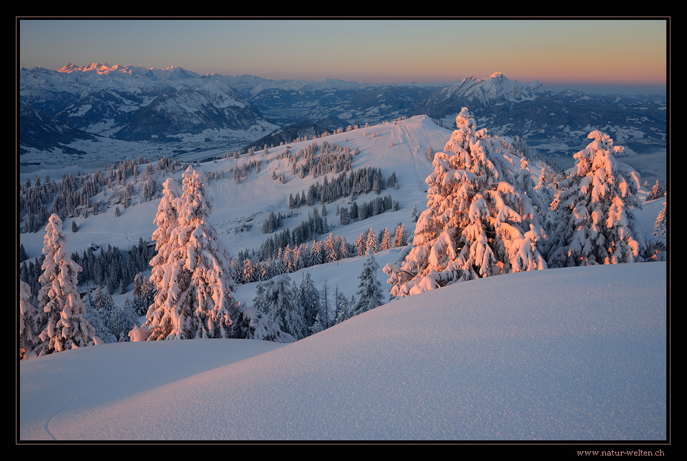 Wintermorgen