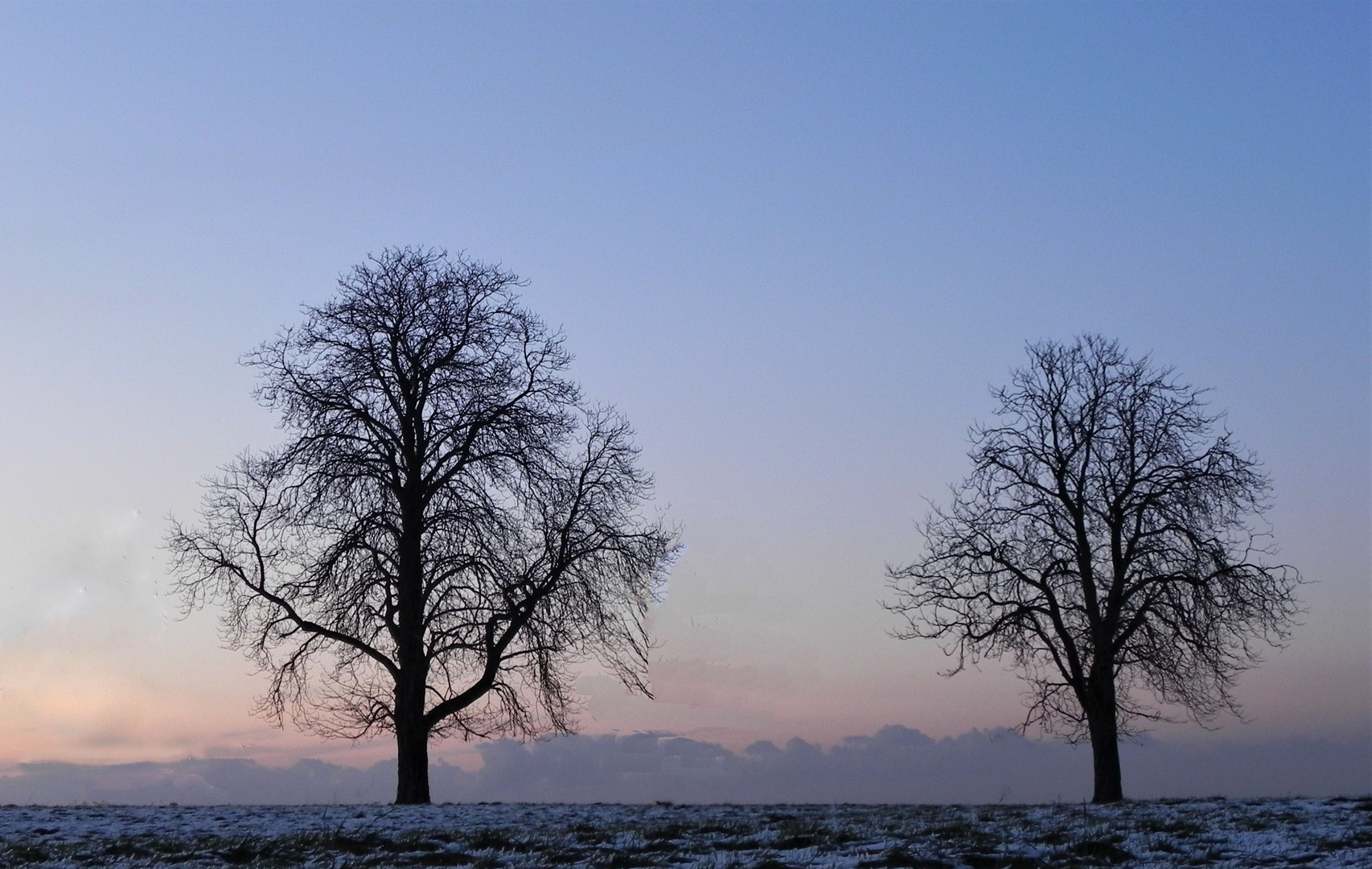 Wintermorgen