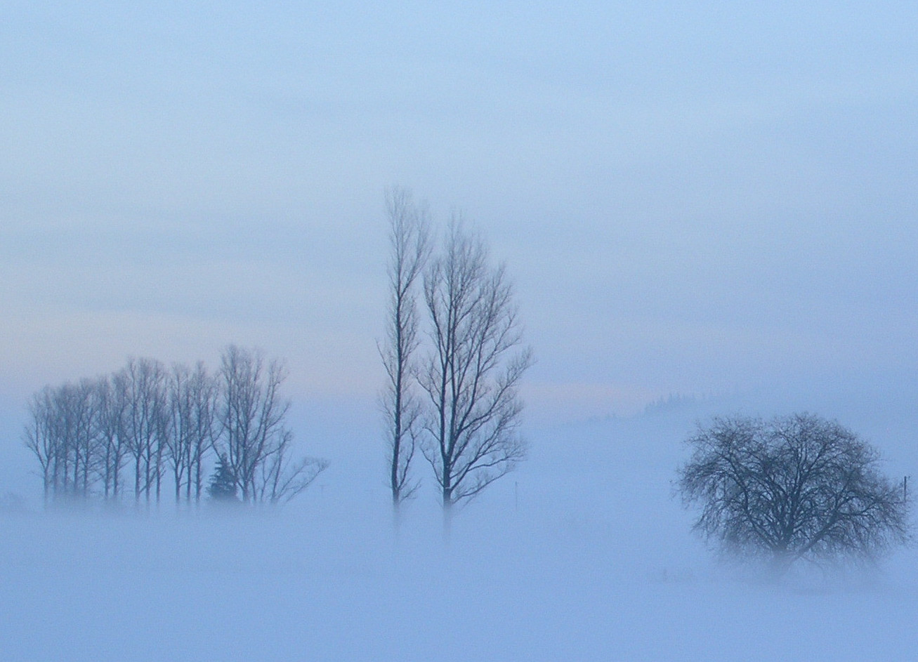 Wintermorgen