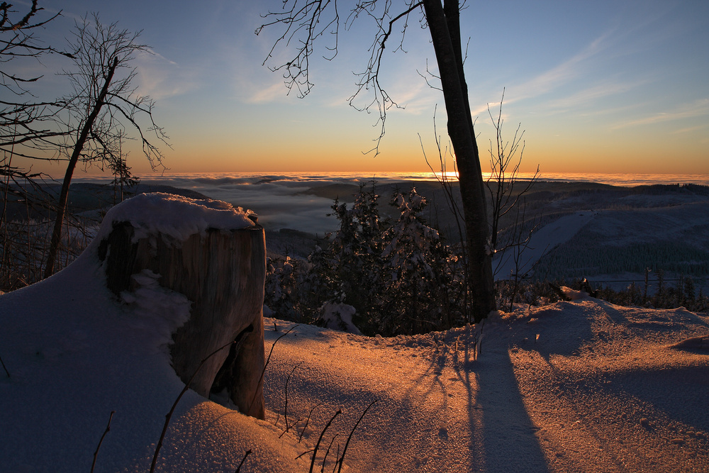 Wintermorgen