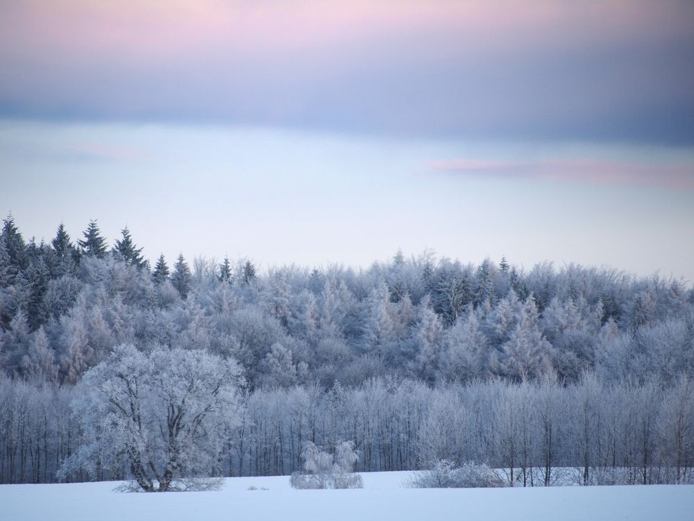 Wintermorgen von blackpoint 