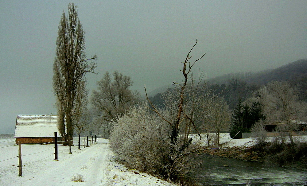 Wintermorgen