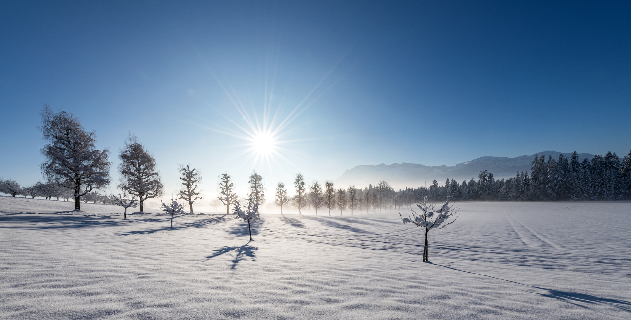 Wintermorgen