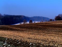 Wintermorgen