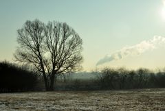 Wintermorgen am 10.2.2012 bei -8°C