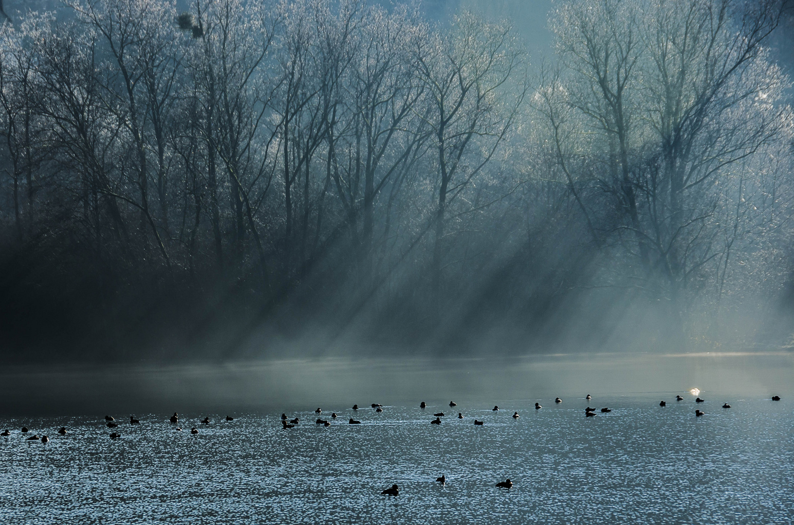 Wintermorgen am Baggersee