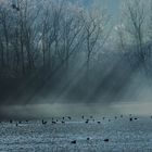 Wintermorgen am Baggersee