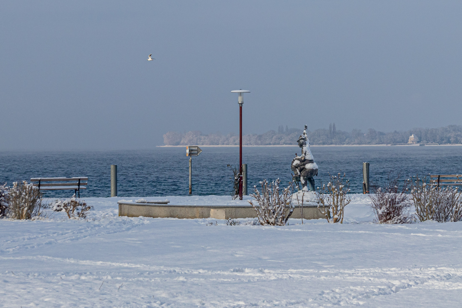 Wintermorgen am bayerischen Bodensee