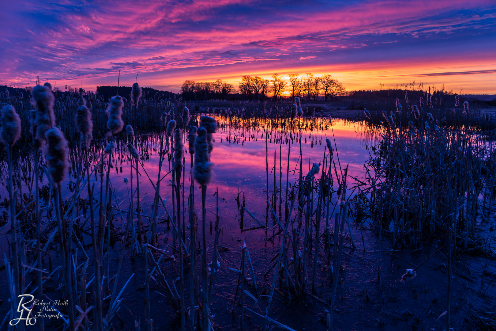 Wintermorgen am Biotop