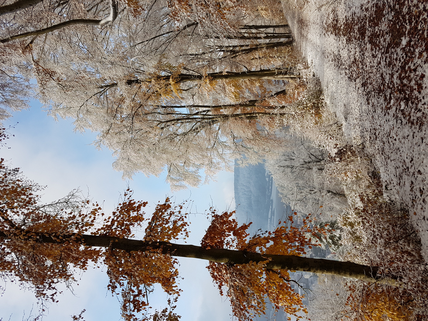 Wintermorgen am Böllerweg