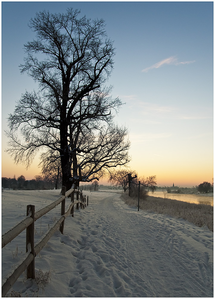 Wintermorgen am Elbufer