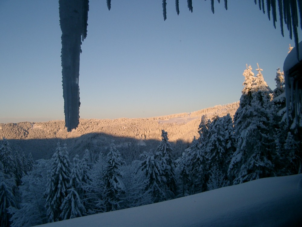 Wintermorgen am Feldberg