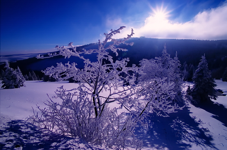 Wintermorgen am Fichtelberg...