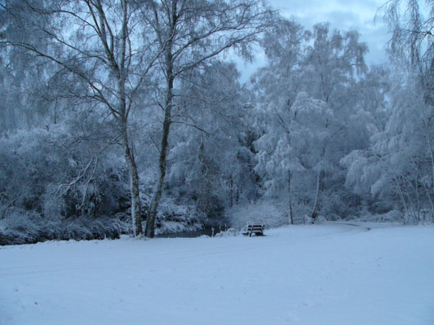 Wintermorgen am Fischteich (Version 1)