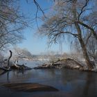 Wintermorgen am Fluss