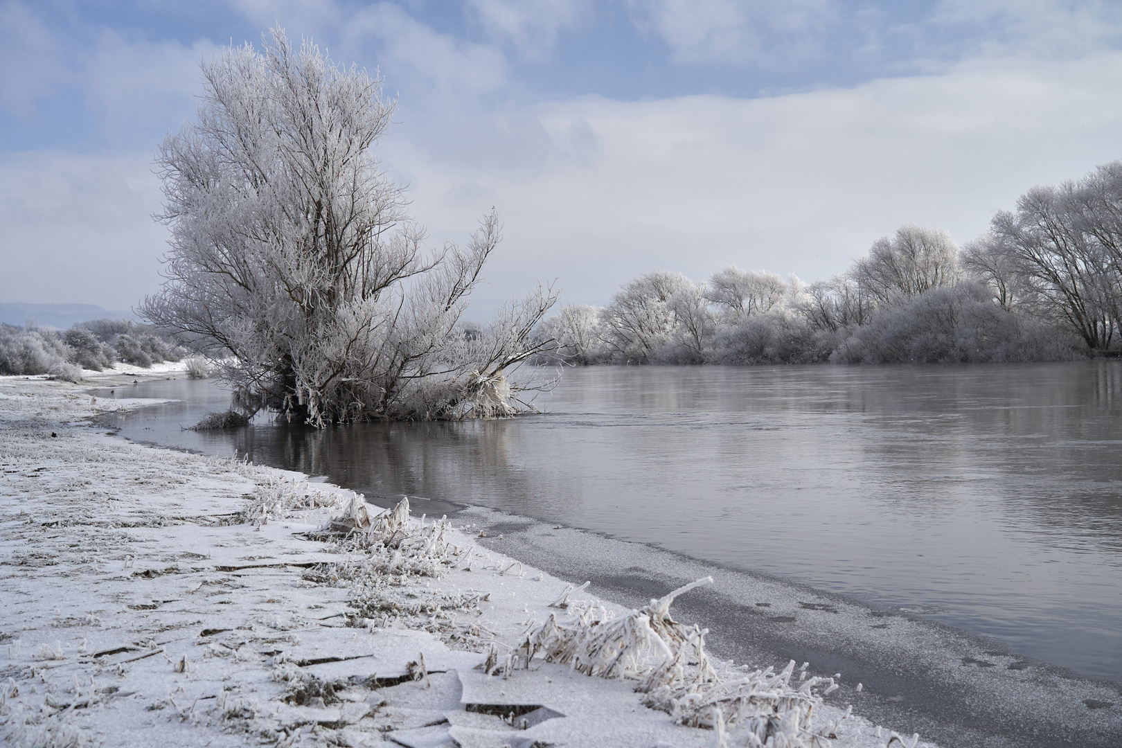 Wintermorgen am Fluß