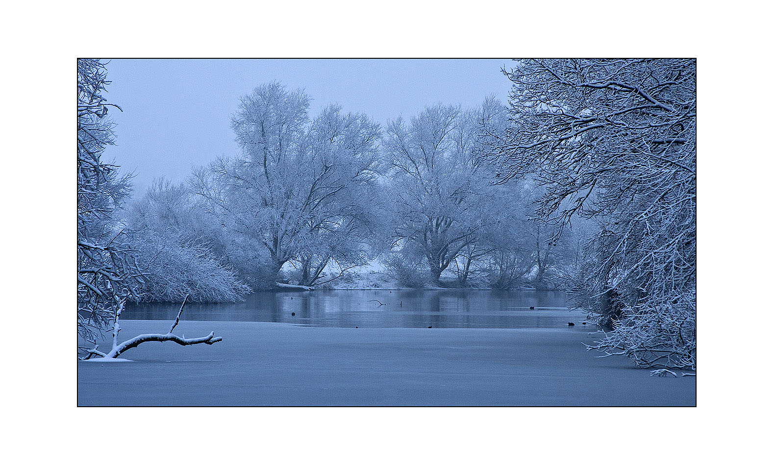 Wintermorgen am Fluß