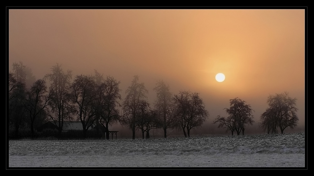 Wintermorgen am Hof