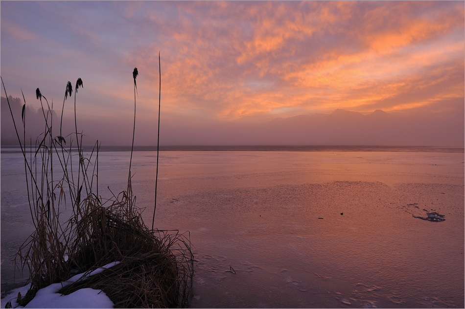 *Wintermorgen am Hopfensee*